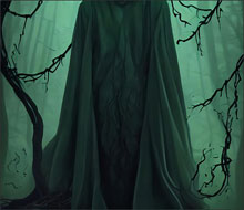 picture #7