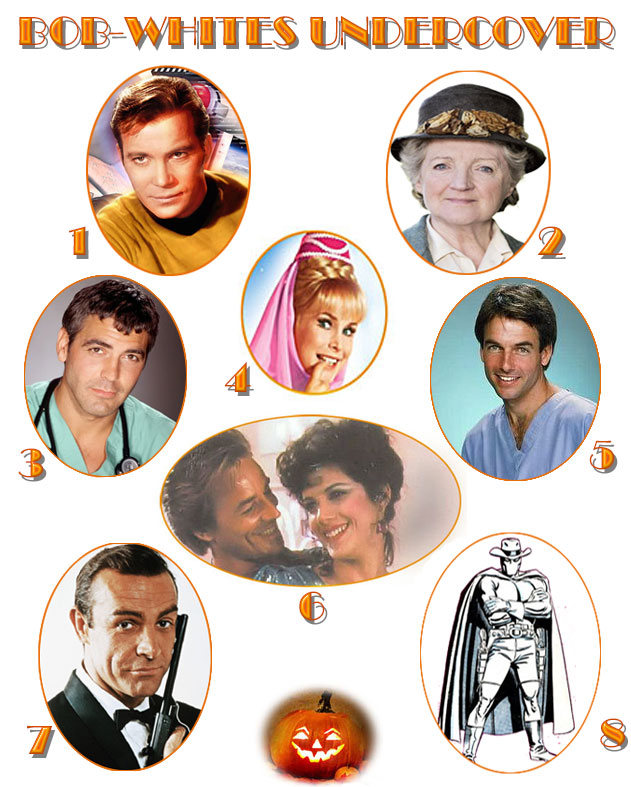 images for Bob-Whites in costume