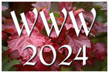 Women's Writing Weekend 2024