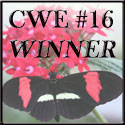 CWE 16 Winner