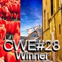 CWE 28 Winner badge